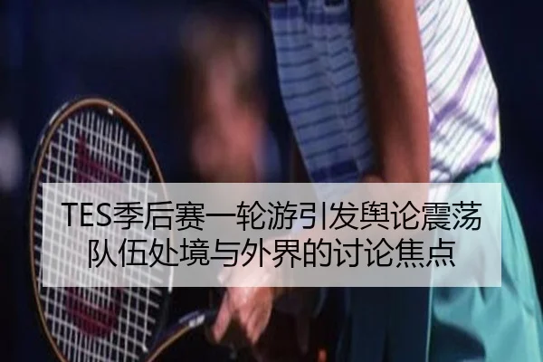 TES季后赛一轮游引发舆论震荡 队伍处境与外界的讨论焦点