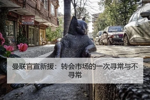 曼联官宣新援：转会市场的一次寻常与不寻常